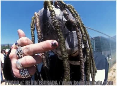 Corey Taylor! ꈍ◡ꈍ thumbnail