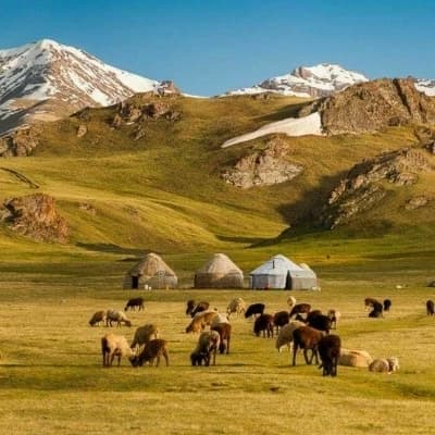 Mongolia,  thumbnail