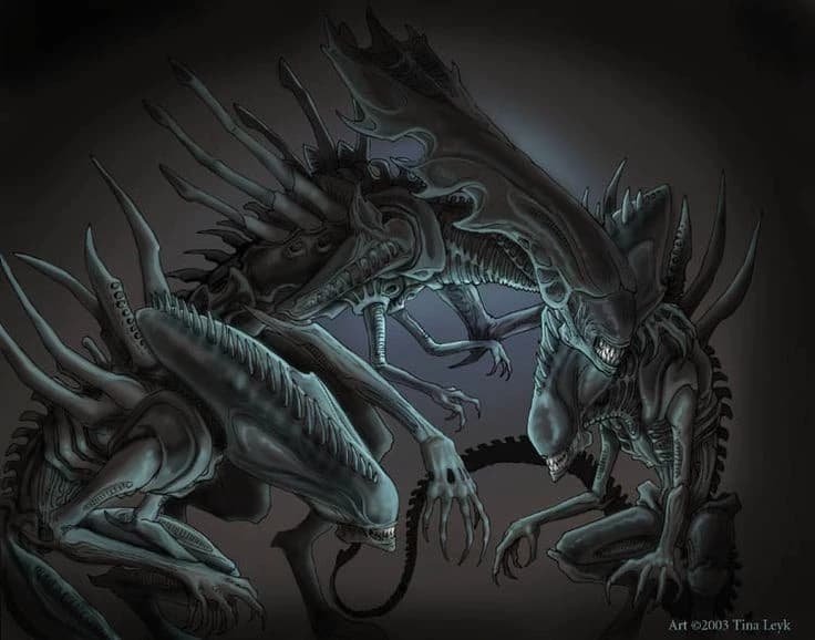  3 Xenomorfo  thumbnail