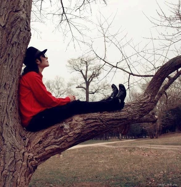 Michael Jackson  thumbnail