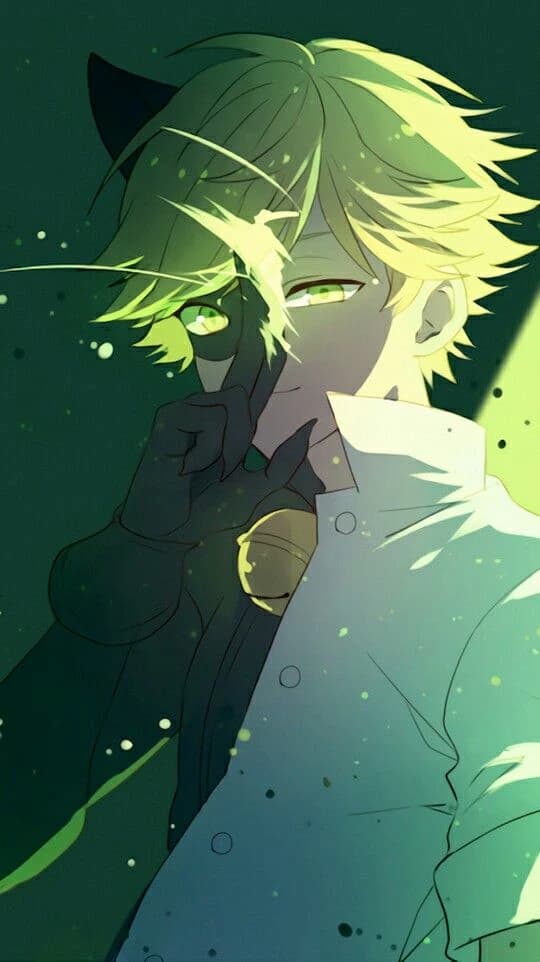 Black Cat/ Adrien Agreste thumbnail