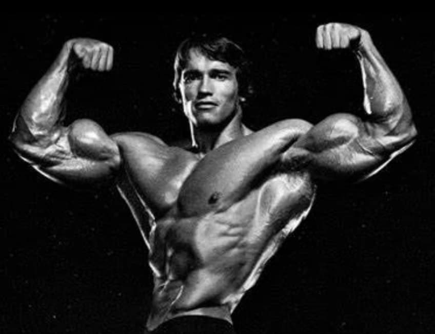 Arnold  thumbnail