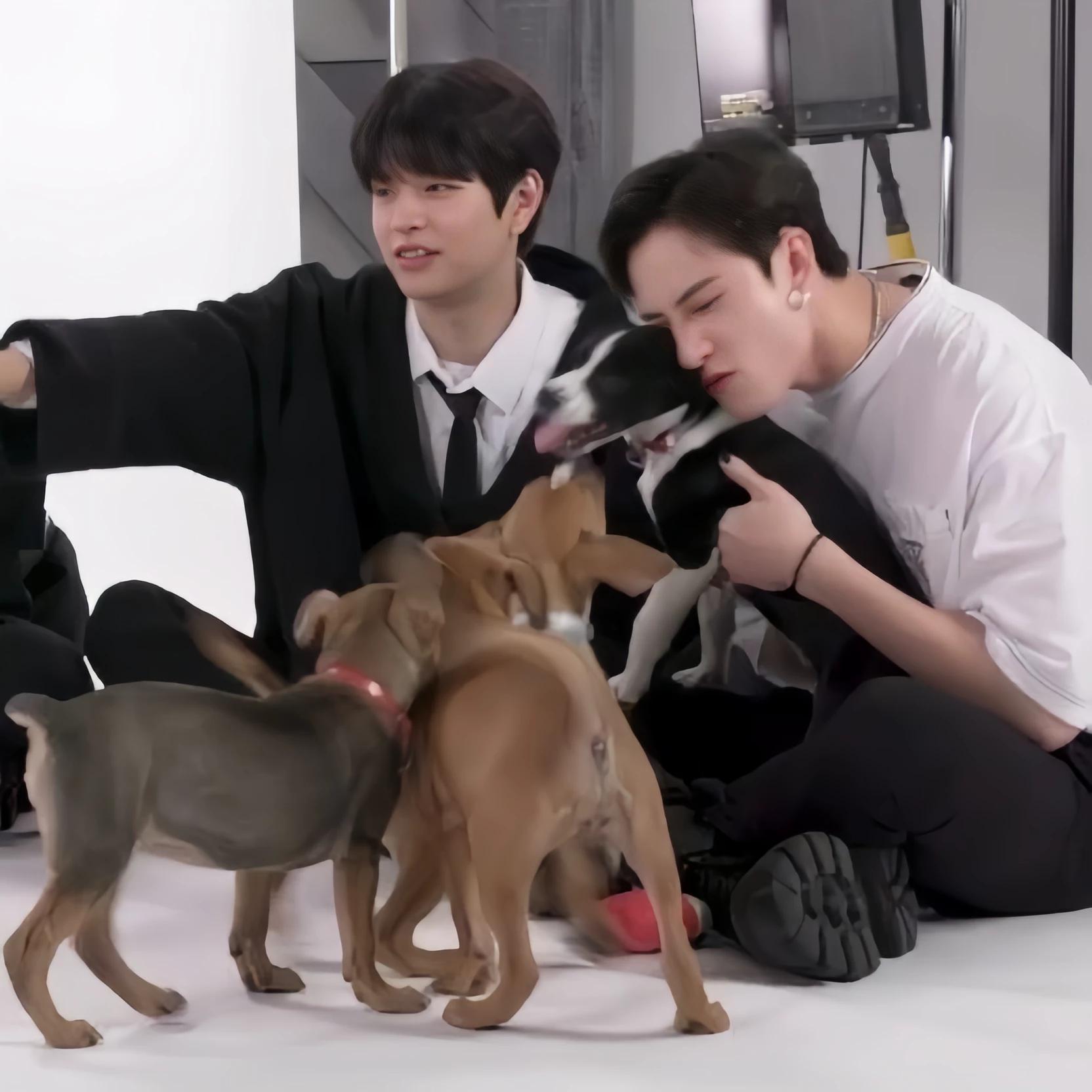 Bangchan - Chanmin BL thumbnail