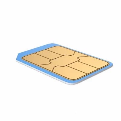 I normal microchip.  thumbnail
