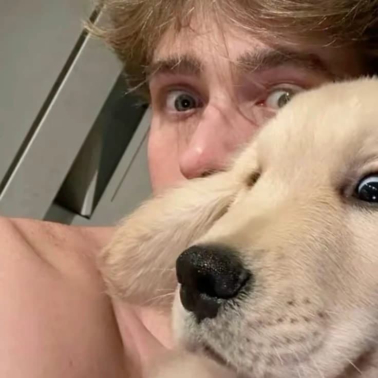 Felipe thumbnail