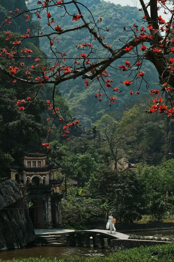 Buddhist temple in korea thumbnail