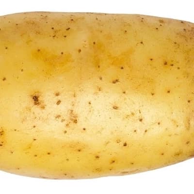 The Potatoid thumbnail