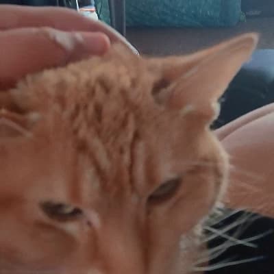 Ms. Lily thumbnail