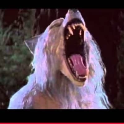 The Lycanthrope thumbnail