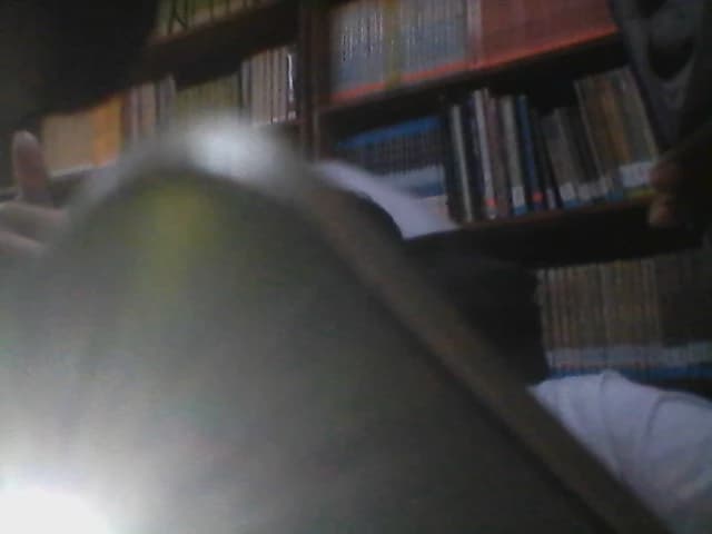 shahashi  toma thumbnail