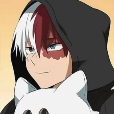 Shoto Todoroki thumbnail