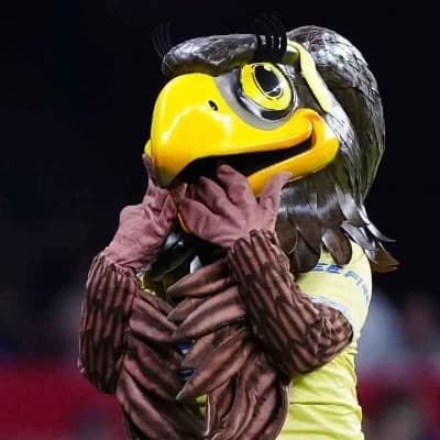 Avi Mascota Femenil Del América  thumbnail