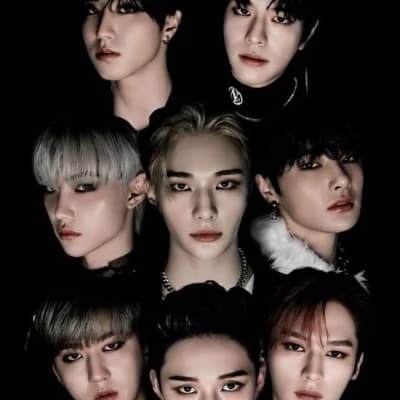 Straykids & Y/n (Oddinary hotel)  thumbnail