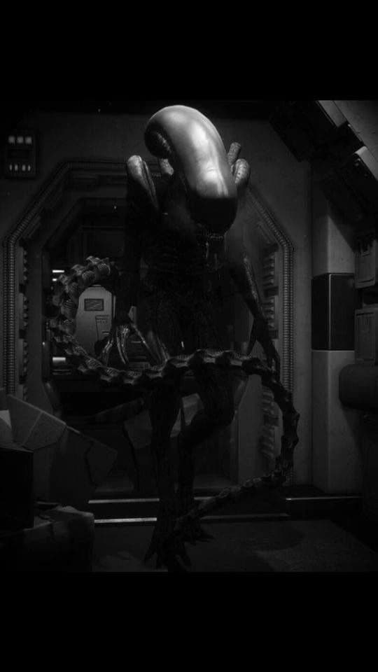 Xenomorph thumbnail