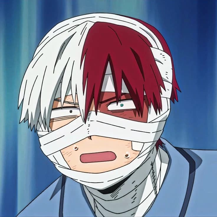 Shoto Todoroki thumbnail