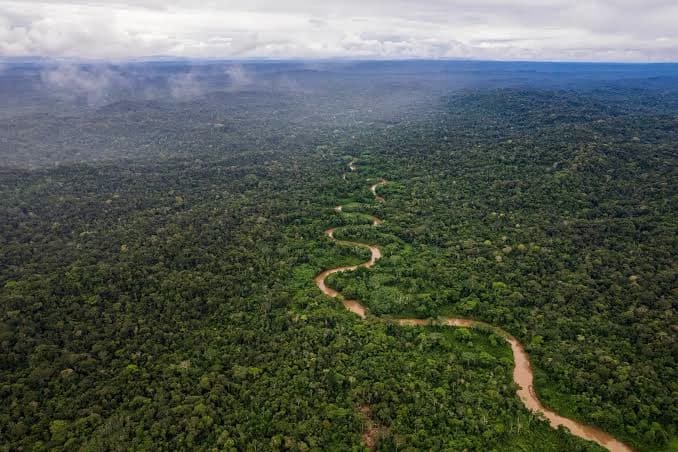 Amazon rainforest and the colonists!? thumbnail