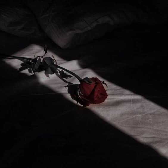 Dark romance thumbnail