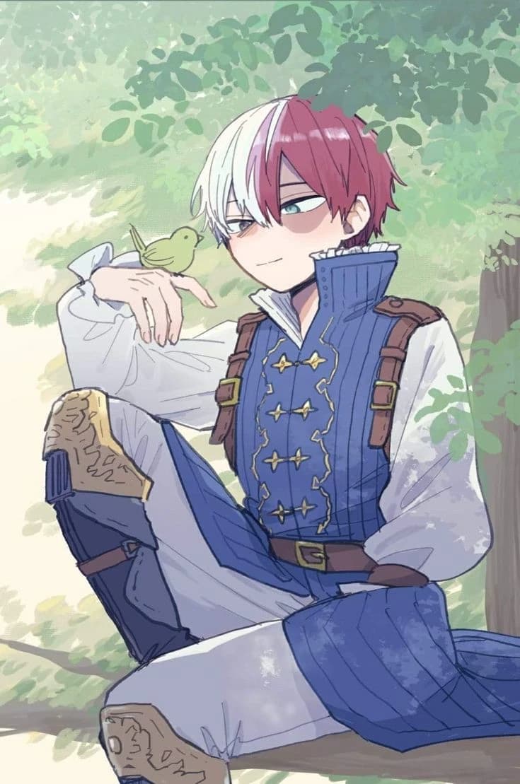 shoto todoroki🔥❄ thumbnail