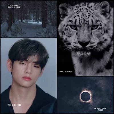 Kin Taehyung thumbnail