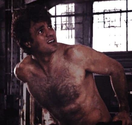 Bruce banner  thumbnail