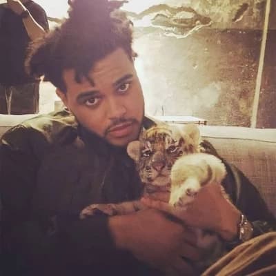 ♡ The Weeknd - Abel ♡ thumbnail