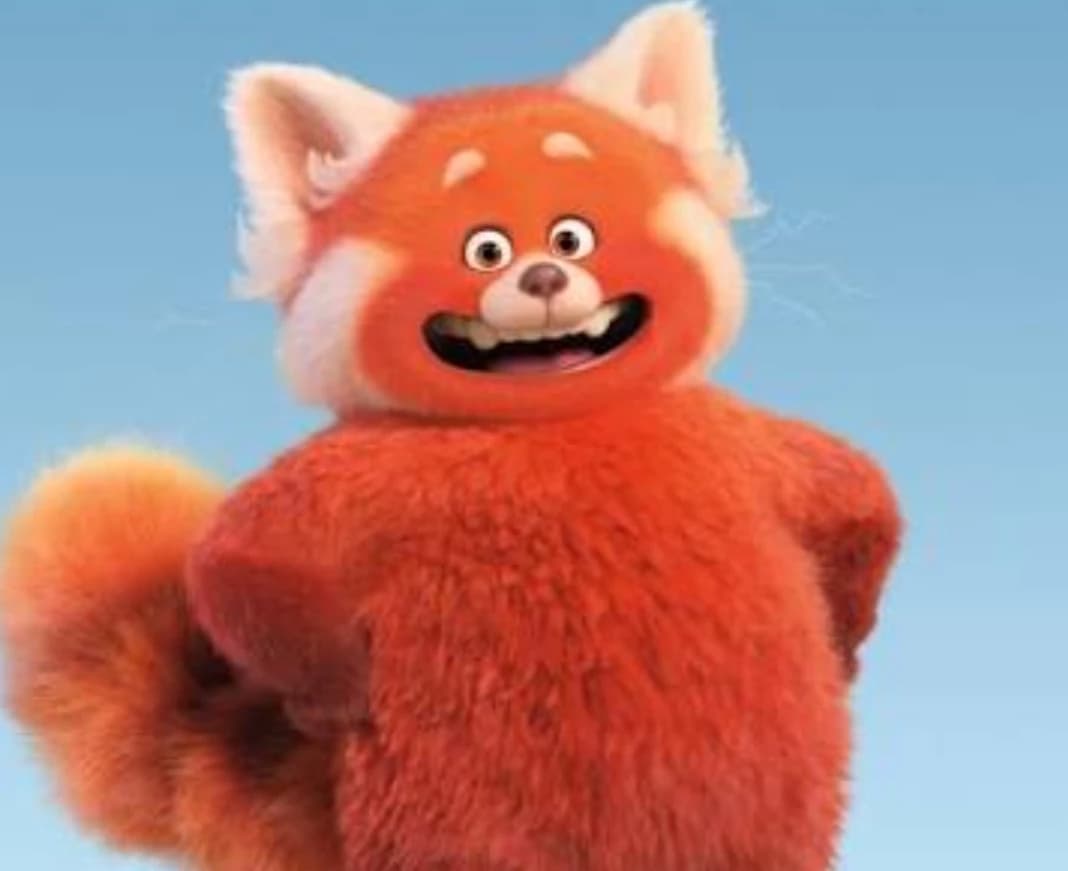 Mei una chica de 13 años que con emociones fuertes se convierte en una panda  thumbnail
