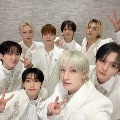 Stray kids  thumbnail