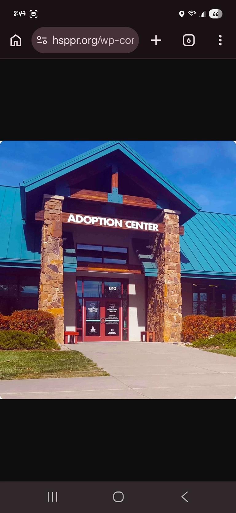Hybrid adoption  thumbnail