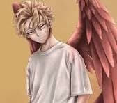Hawks (Keigo Takami) thumbnail