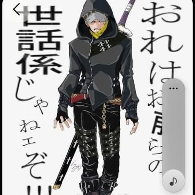 Trafalgar D. Law the Paladin  thumbnail
