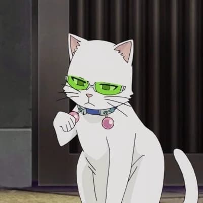 Gato Saiki thumbnail