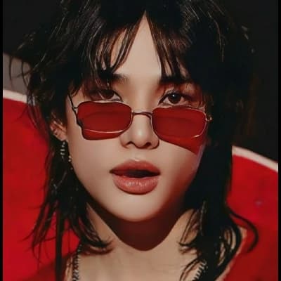 Hyunjin (seu guarda diário) thumbnail