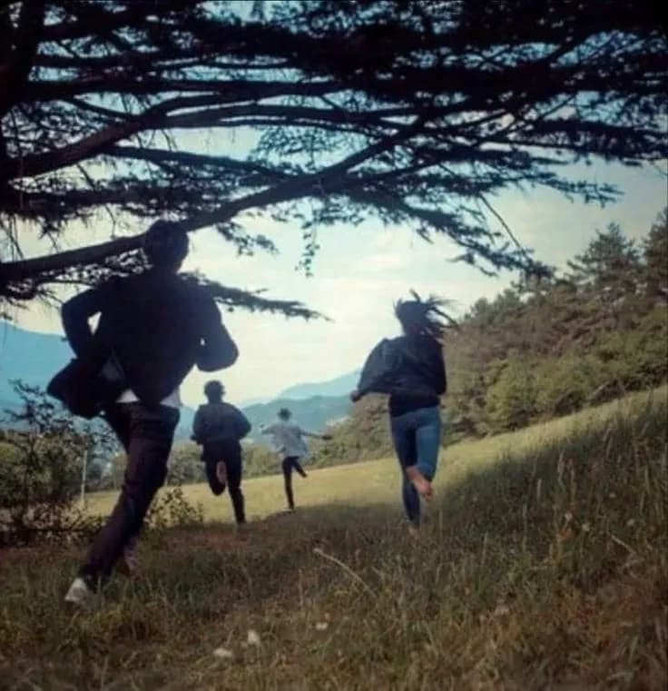 You and the other 4 fools (group of friends) thumbnail