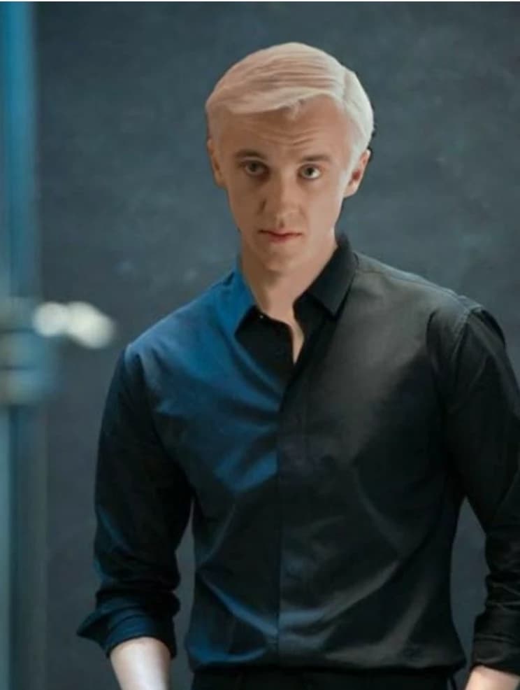Draco Malfoy (autistic wife) thumbnail