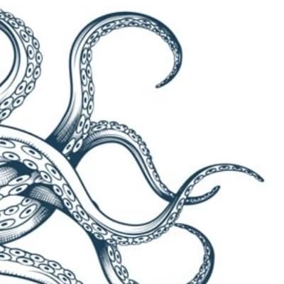 Zin - Tentacle parasite thumbnail