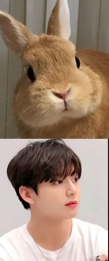 Jeon jungkook thumbnail