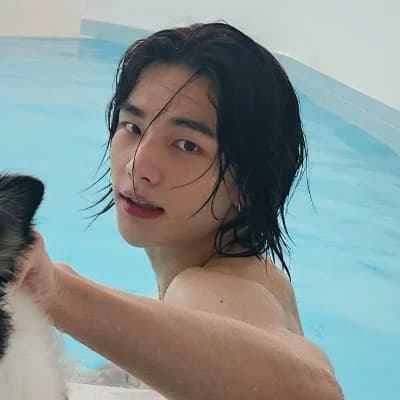 Hyunjin thumbnail