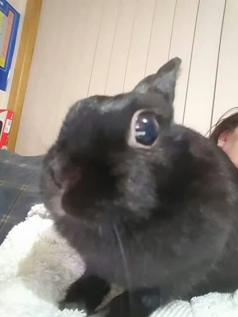 Jim  thumbnail