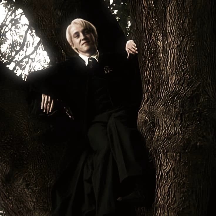 Draco Malfoy thumbnail