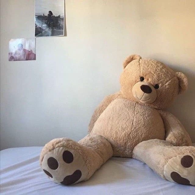 you are wearing a teddy bear thumbnail