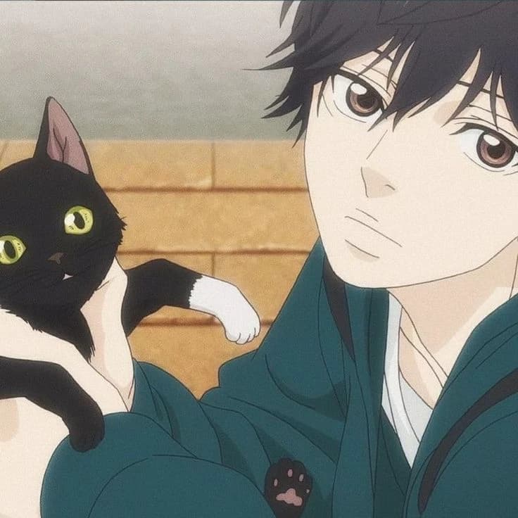 Kou mabuchi  thumbnail