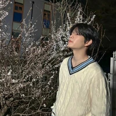 Kim Seungmin thumbnail