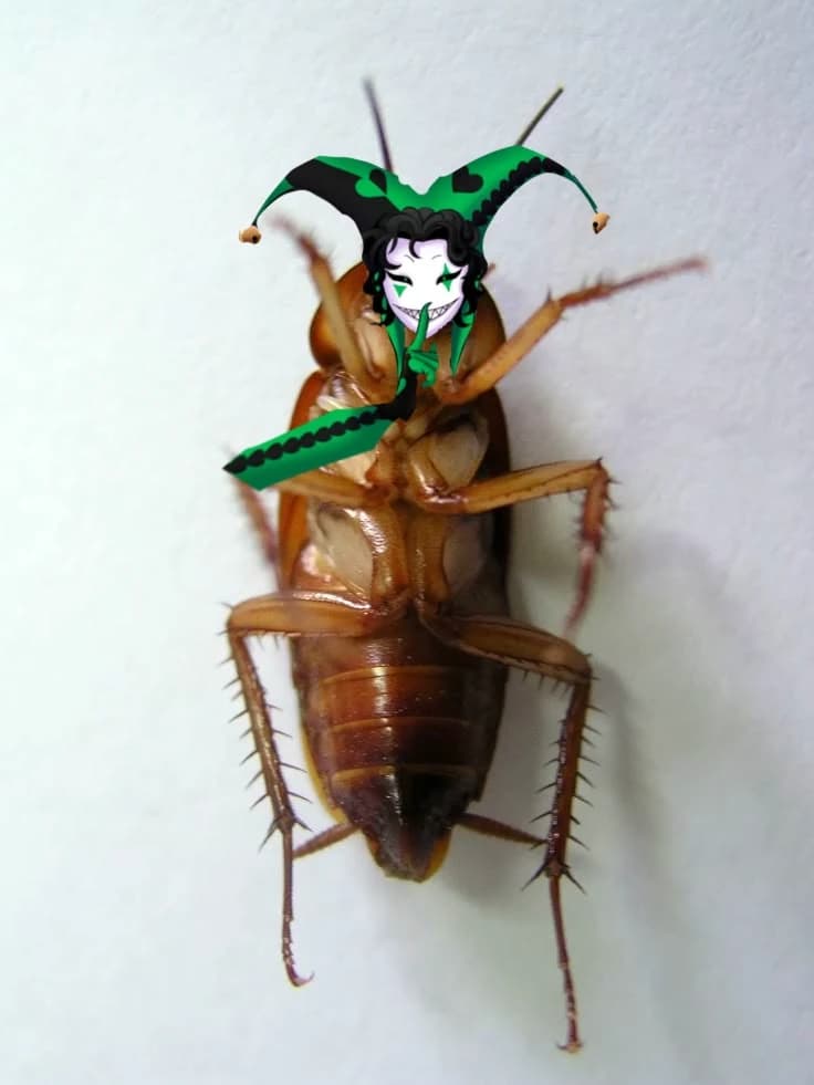 Harlequin & pierrot thumbnail