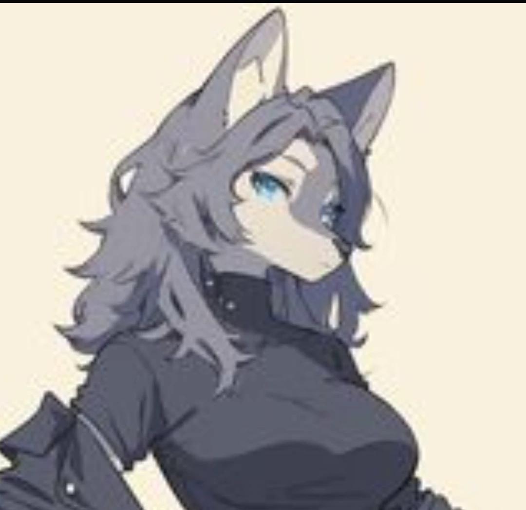 Grey wolf roommate  thumbnail