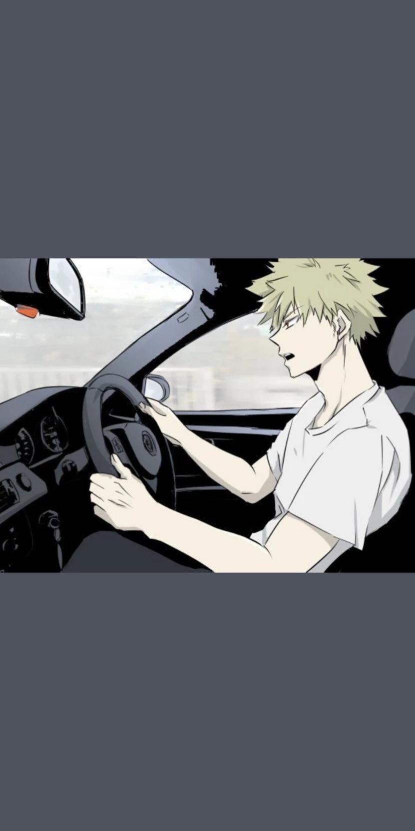 Mha - viaje de auto - bebé thumbnail