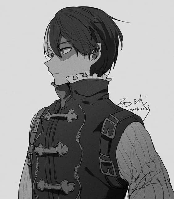 Shoto Todoroki | 7 thumbnail