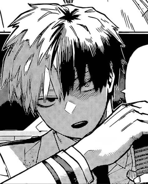 Shoto Todoroki | 9 thumbnail