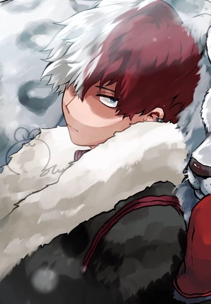 Shoto Todoroki  thumbnail