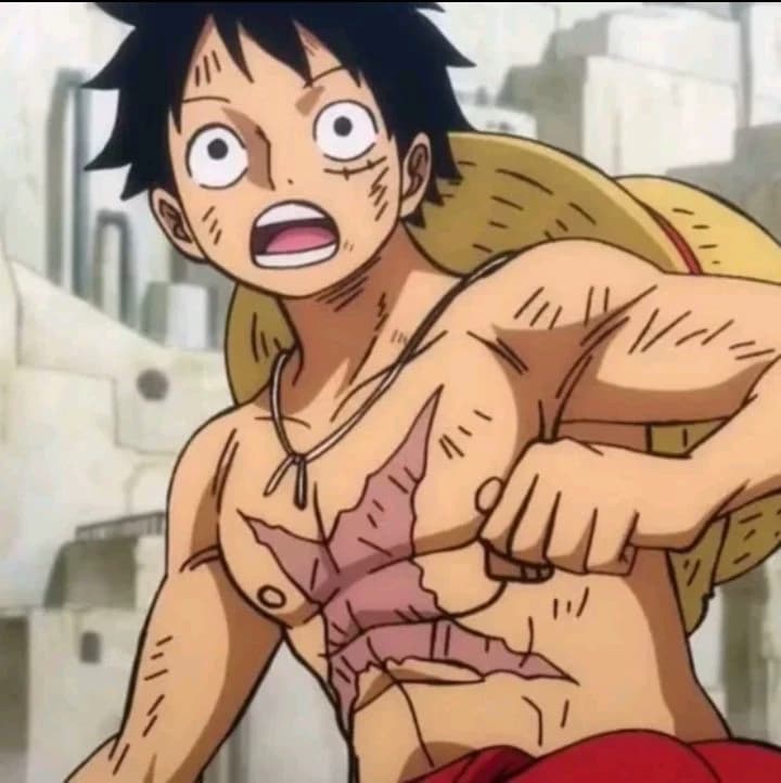 Straw Hat Crew thumbnail