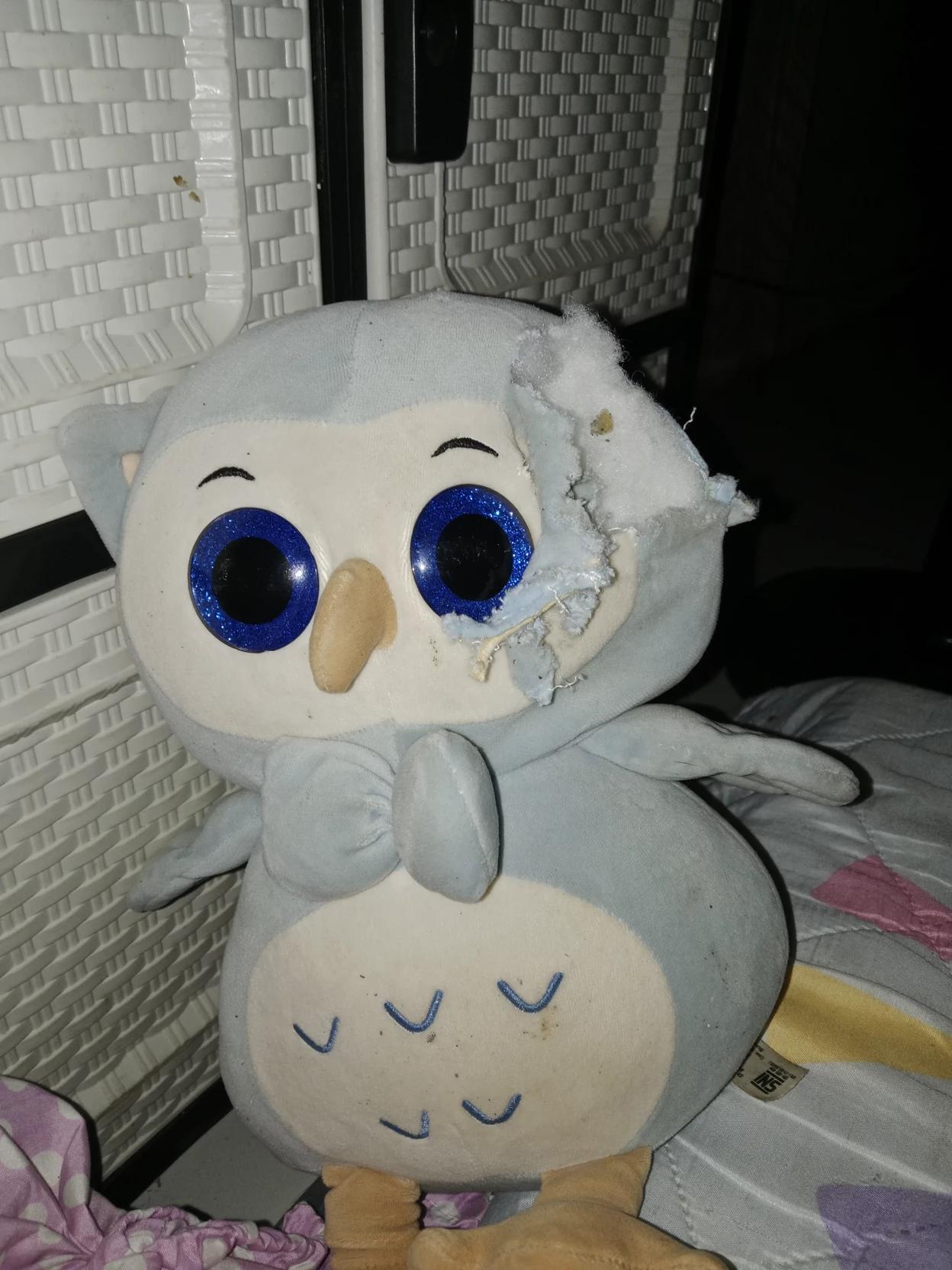 Owly- broken doll thumbnail